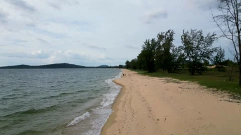 Low Drone Shot of Abandoned Beach with Trees and Meadow in Overcast Weather 動画素材 240871985