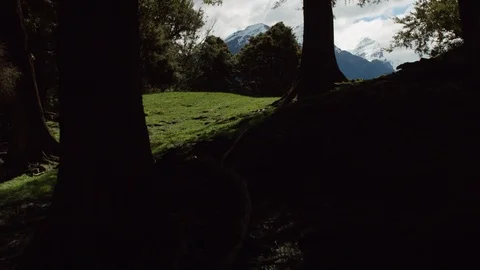 Low drone shot of forest in late afternoon shadow Stock Footage 89517563