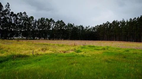 Low drone shot over open field resembling small airstrip Stock Footage 316112618