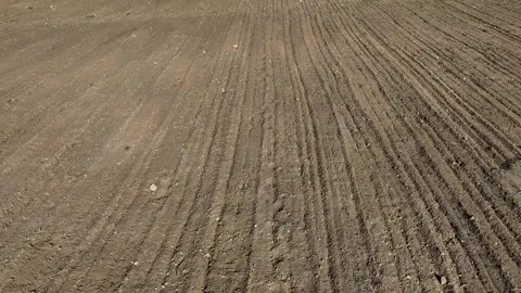 Low Drone View Over Plowed Field With Soil Furrows Texture Stock Footage 345574204