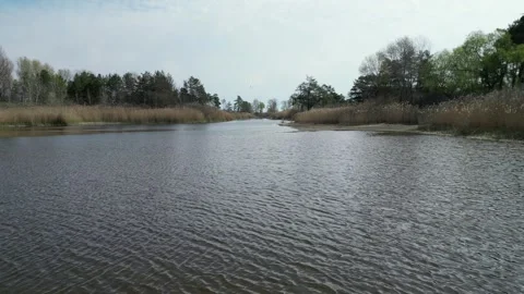 Low drone view over rippled water in a reedy channel Stock-Footage 348170927