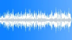 Low Dynamism Acoustic Incidental BGM in D majorStock Music