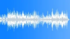 Low Dynamism Sonorous background underscore with Electric country guitar Stock Music
