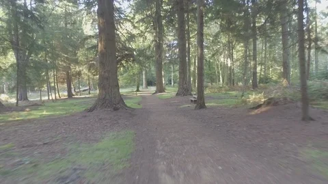 Low Fast Fly Above Footpath Video stock 100889816