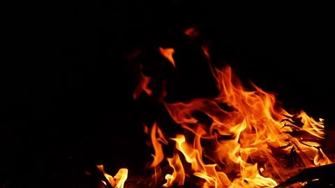 Low fire flames due to burning of woods and bushes with black background Stock Footage 150715493
