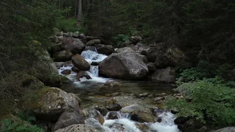 Low Flight Above Mountain River Rapids Stock Footage 236723921