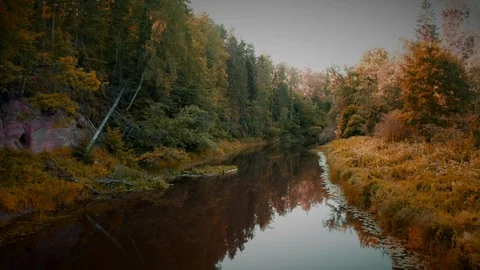Low flight above the river Stock Footage 113139143