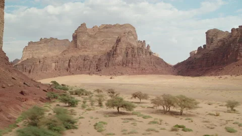 Low flight across desert, rocks, tress. AlUla, Saudi Arabia. Aerial 4K Stock Footage 196825104