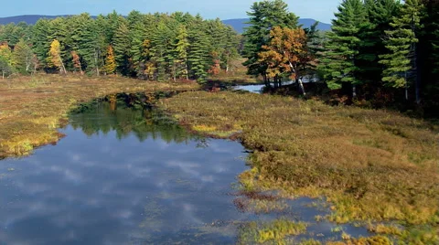 Low flight along river through New Hampshire countryside Stock Footage 59520116