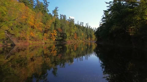 Low flight on a calm river Stock Footage 165942710
