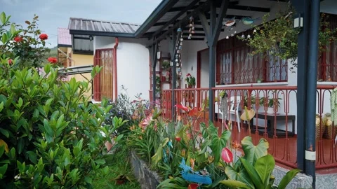 Low flight capturing the gardens and rustic charm around a colonial style house Video stock 316115423