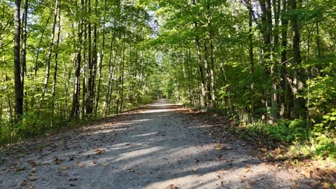 Low Flight Down Forest Trail on 9 Mile Portage Near Barrie Ontario Video stock 318197472