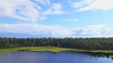 Low flight on a drone along the trail through the green forest Stock-Footage 159439388