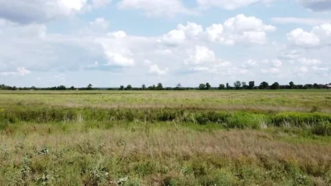 Low flight on a drone over a meadow Stock Footage 159061970