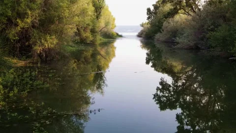 A low flight Stock Footage 138170047