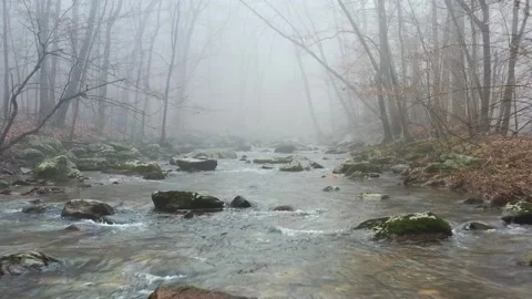Low Flight Up Misty Stream Bed in Autumn Drone Aerial View Stock Footage 164671671