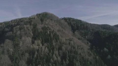 Low flight over a beautiful forest hill in autumn with blue sky, 4K Stock Footage 73808214