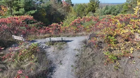 Low Flight Over Benches and Forest Near Simcoe Rail Trail Video stock 319716408