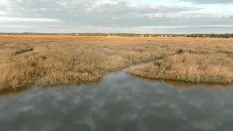 Low flight over coastal marsh at sunset Vidéo 147995934