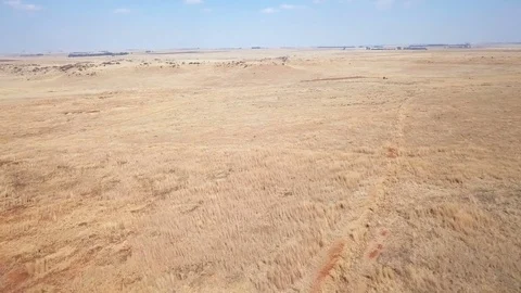 Low flight over dry grassland with a flat horizon Vídeo Stock 79806874