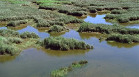 Low flight over extensive marshlands Stock Footage 59508195
