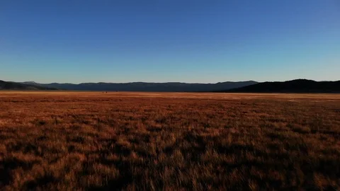 Low Flight Over Field in Sierra Valley at Sunset - Aerial Drone Stock Footage 114055002