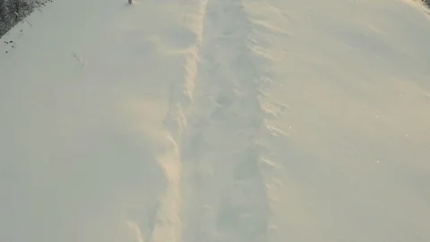 Low flight over a footpath in winter sunset, drone Stock Footage 126360768