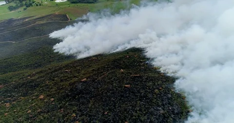Low flight over green hill burning crisscrossed by pathways under the smoke 4 Video stock 85644559