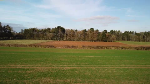 A low flight over a hedge to a newly ploughed field.  March.  UK Vídeos de archivo 150832650