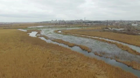 Low flight over the marsh with reeds on a cloudy day Stock Footage 63080452