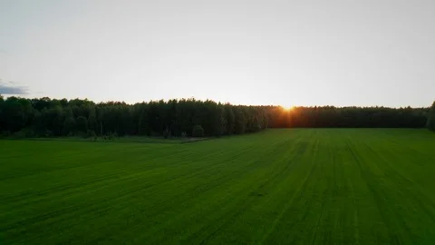 Low flight over the meadow 動画素材 111449562