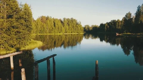 Low flight over the mirroring water surface, lake, forest Video stock 77735176