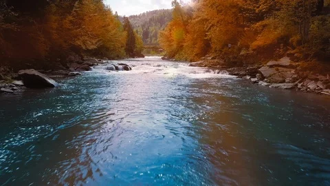 Low flight over the mountain river, blue in the middle of the forest and Stock-Footage 92124362
