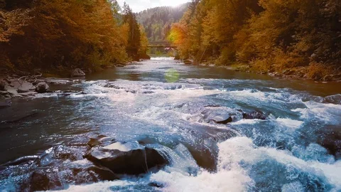 Low flight over the mountain river, blue in the middle of the forest and Stock Footage 92124826