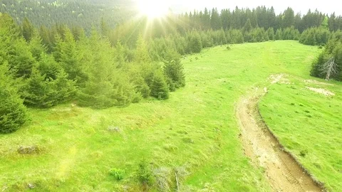 Low flight over mountains, hills and meadows with pine green forests Vidéo 75960587