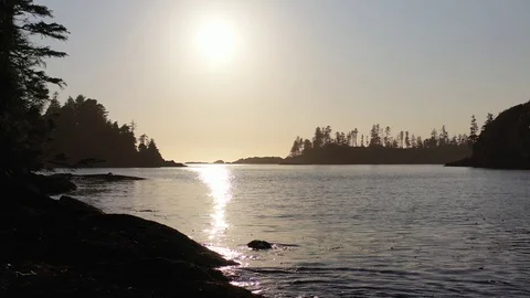 Low flight over Pacific coastline before sunset in British Columbia Stock Footage 124974299