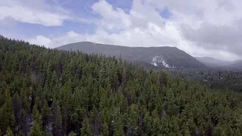 Low Flight Over Pine Trees in Colorado Rocky Mountains Video stock 82808872