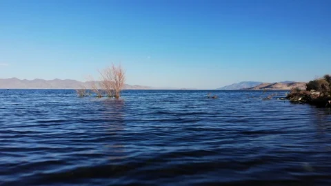 Low Flight Over Pyramid Lake with Birds in Flight - Aerial Drone Stock Footage 117213697