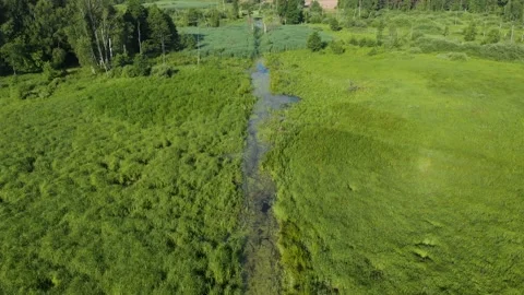Low flight over a river in the sunny day. Flying over a river in the meadow Stock Footage 196286854