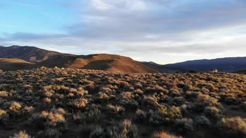 Low Flight Over Sage Brush at Sunset in Nevada Desert Stock Footage 134587374