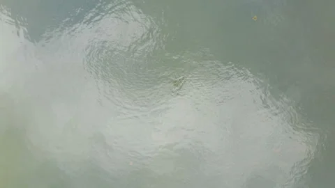 Low flight over a scenic waterfall on a small river Stock Footage 138533768