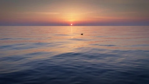 Low flight over the sea surface. Vídeos de archivo 127675451