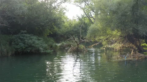 Low flight over a small rural river Stock Footage 138533080