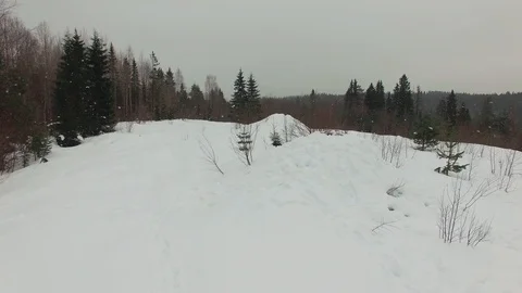Low flight over a snow-covered glade with bushes and firs in cloudy day. Stock Footage 92856645
