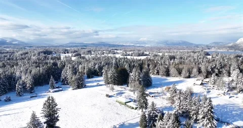 Low flight over snow-covered fields and trees Pt 2 of 2 - 5K Video stock 227995340