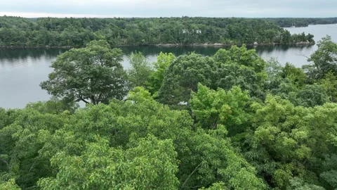 Low flight over trees and St Lawrence River Gananoque Ontario 스톡 동영상 253660769