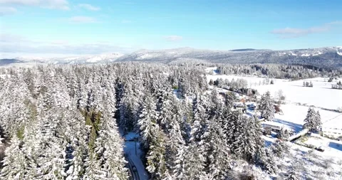Low flight over trees with Mt Tzouhalem Pt 2 of 2 - 5K Video stock 227995281