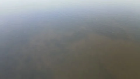 Low flight over the water to the pine bank and cell tower Stock Footage 163586072