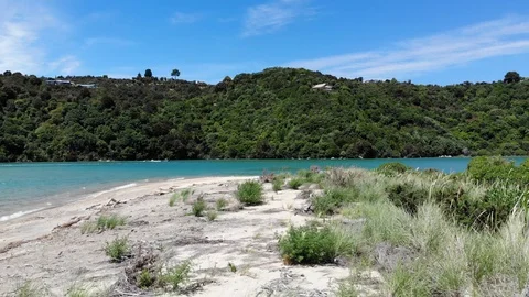 Low flight over a windy beach toward the ocean at Marahau, New Zealand Video stock 100689368