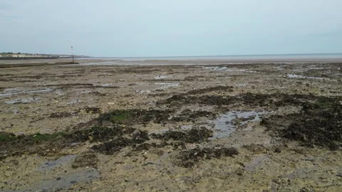 Low flight Rocky beach Stock Footage 245846000